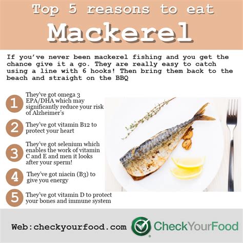 mackerel fish benefits|Surprising Anti.